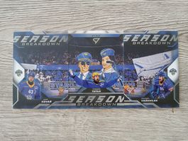 Hockey Cards Saison Breakdown EVZ 