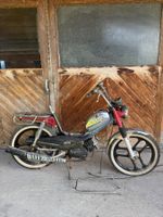Sachs Pony 503 GTX Töffli mit Ausweis