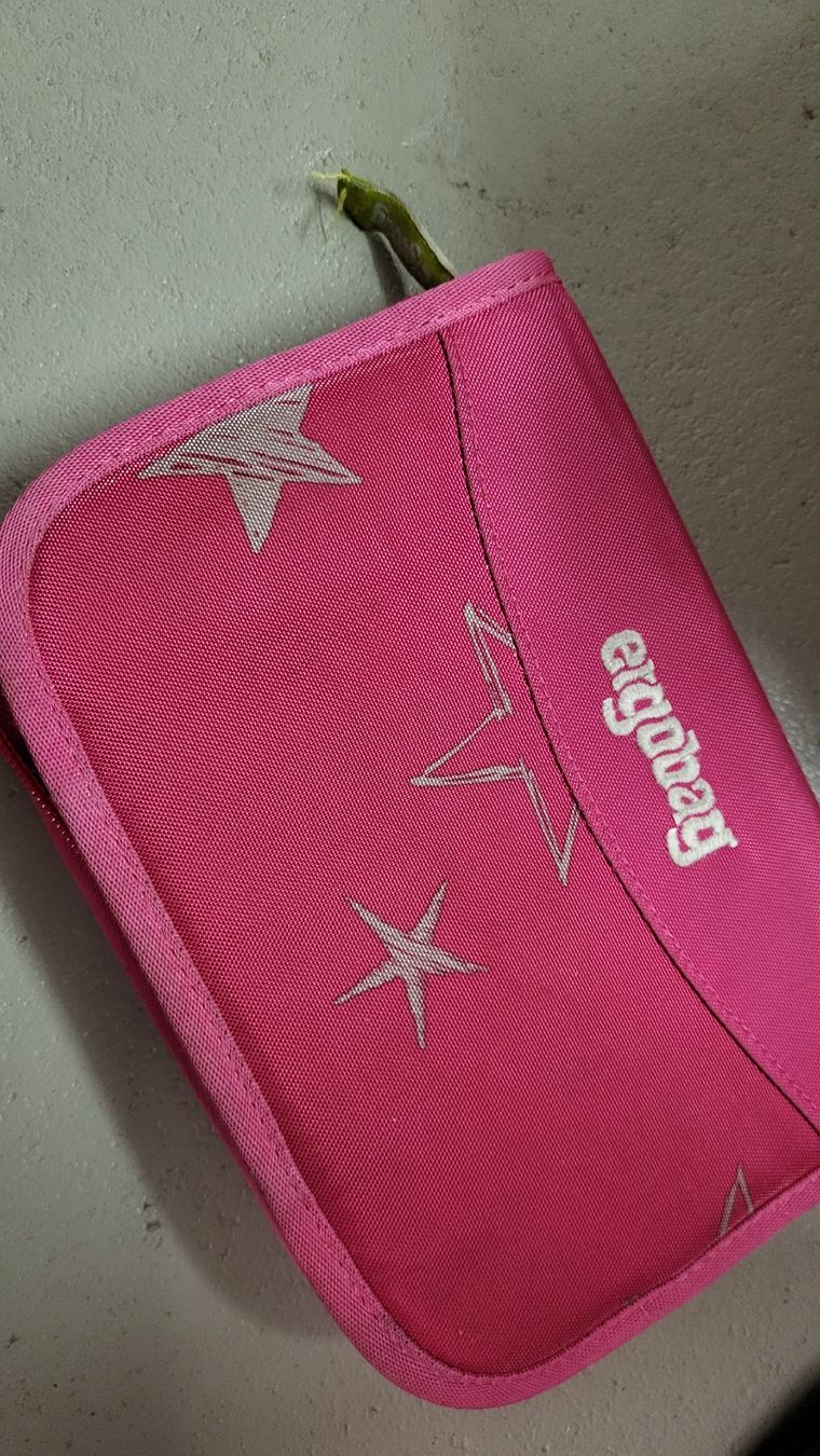 Ergobag Kindertaschen: Ergobag Schulrucksack Set Pink Sterne Mädchen gebraucht – Gebraucht aus Strengelbach von diawit 2