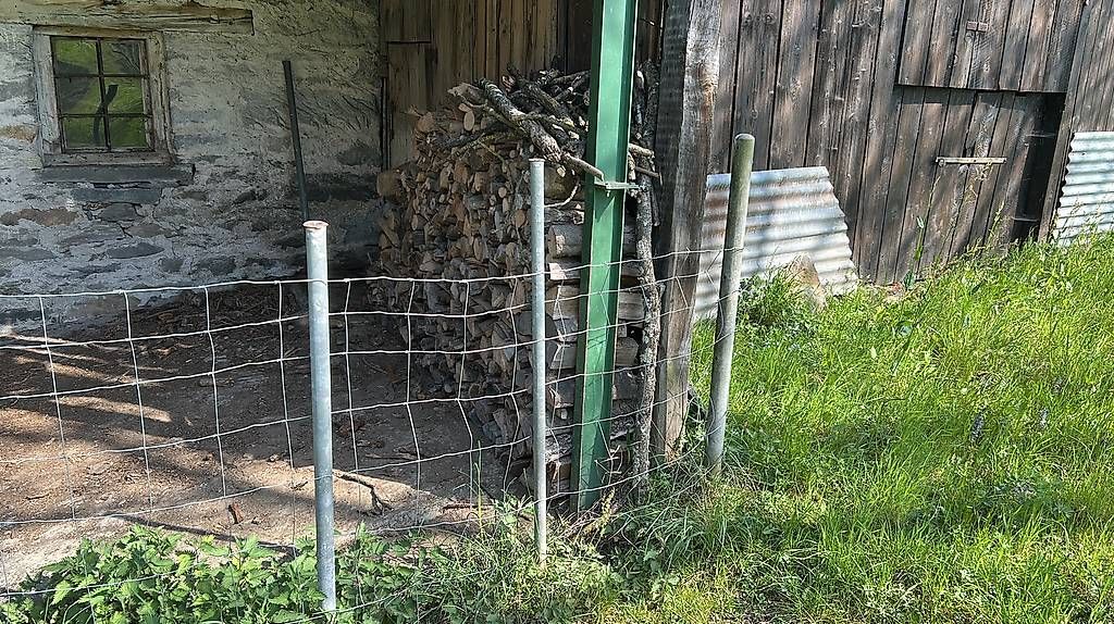 Tutte le macchine: Legna da ardere secca – Usato da Giubiasco venduto da radiolina