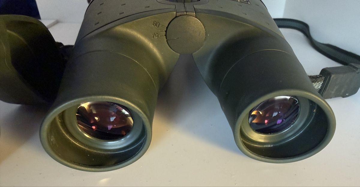 Zeiss Binocoli: Zeiss Classic 8x56 Fernglas – Usato da Basel venduto da Juland 7