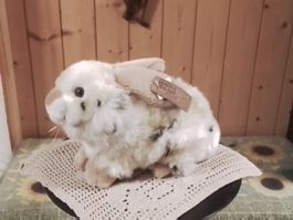 Neu, grosser Plüschhase Plüschtier 25cm Plüsch Hase 🐰