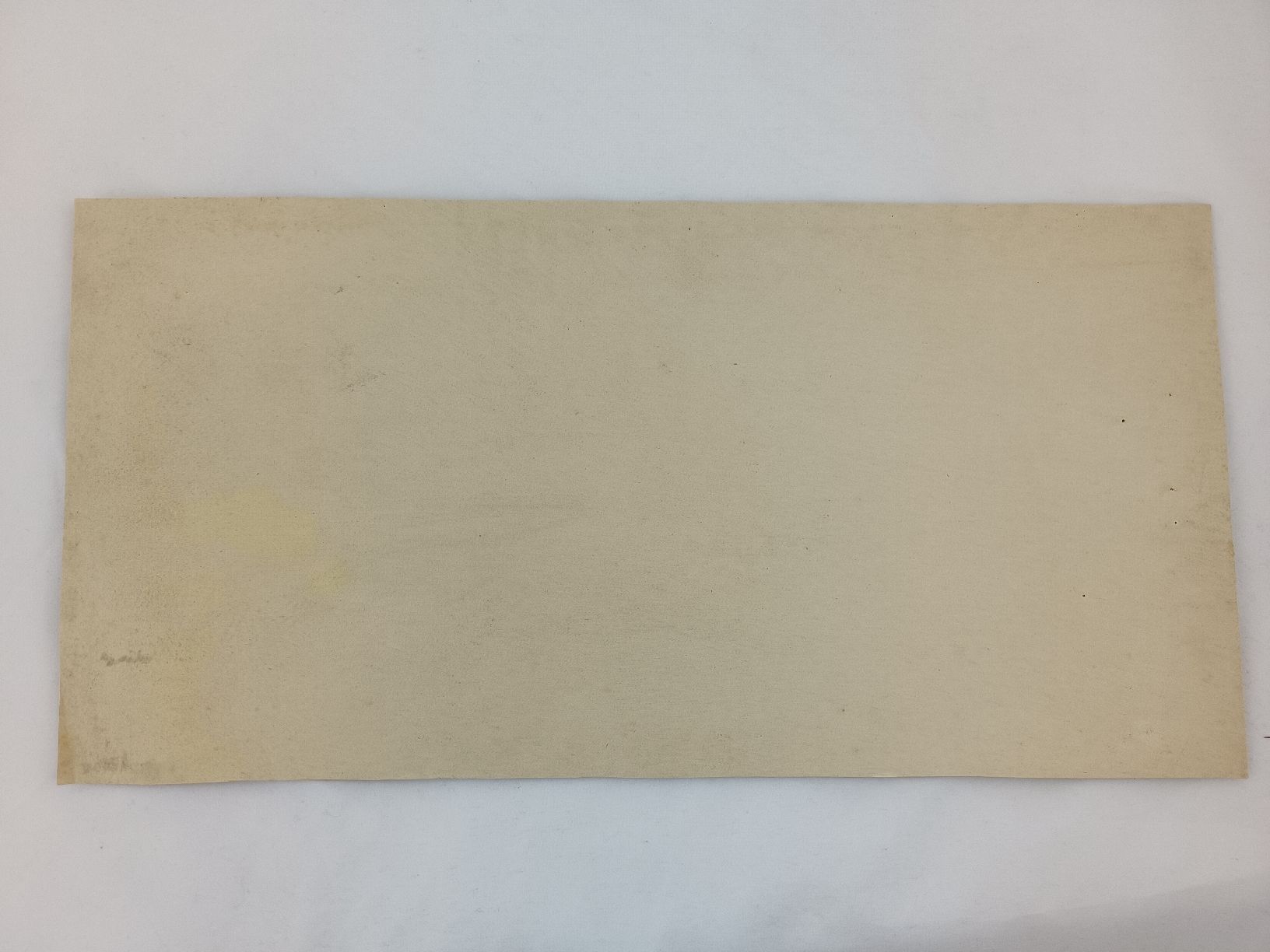 Grafica & Litografie: Lithographie Hotel Blumlisalp Spiez – Usato da Steffisburg venduto da ZeitReise_ 3