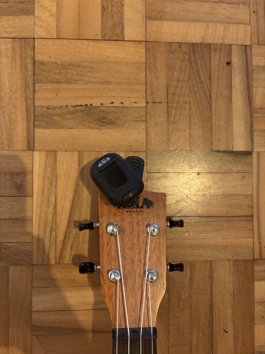 Instruments de musique: Ukulele – D'occasion à Bern par Lschorro 1