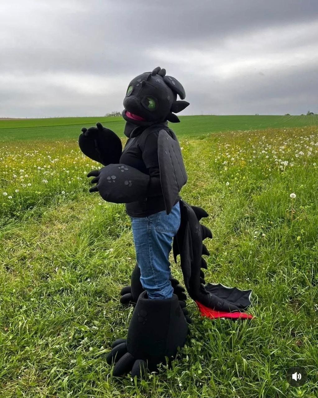 Costumes: Nachtschatten Ohnezahn Fursuit partial – D'occasion à Münchenbuchsee par lar_2kxq 4