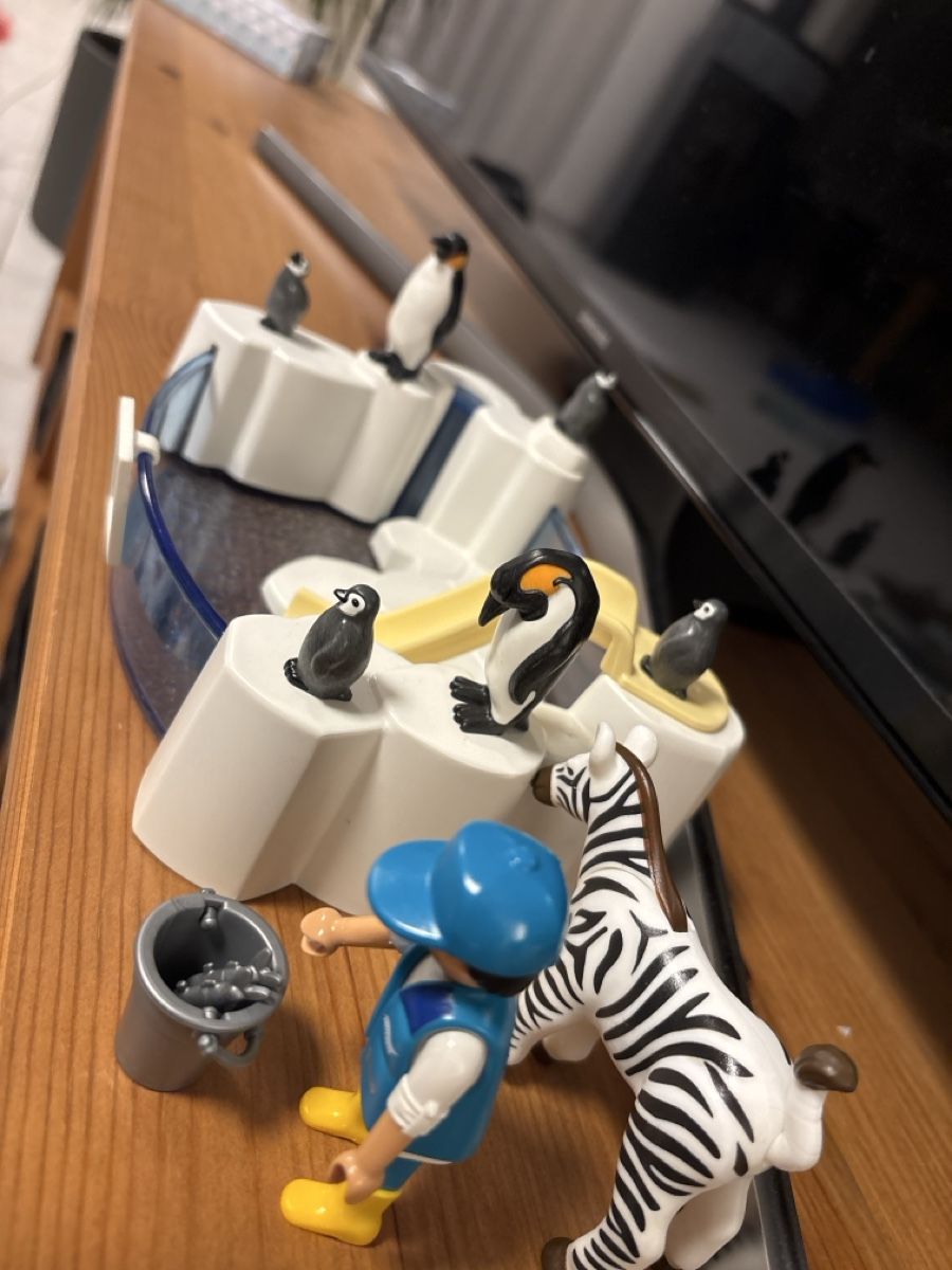 Playmobil Giocattoli: Playmobil 9062 – Usato da Safenwil venduto da sabikie