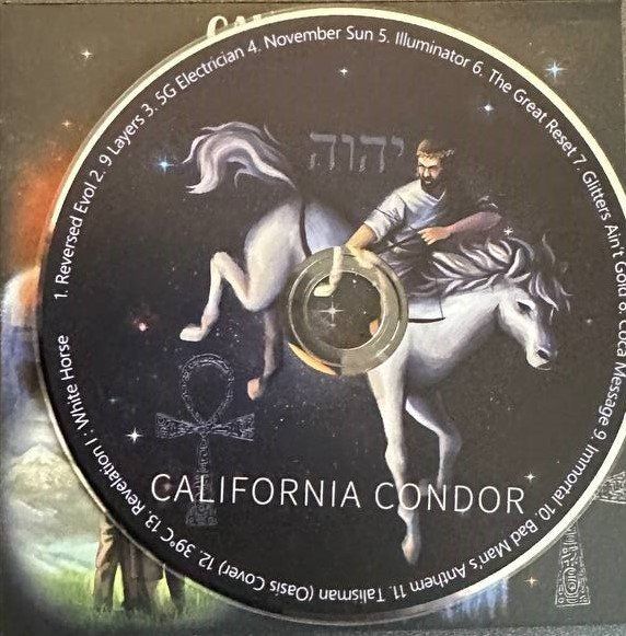 CDs: California Condor CD - Selten – D'occasion à Beringen par Mantafisch1 2