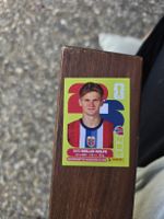 Panini WM 2026 NOR 7 David Møller Wolfe