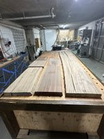Restposten Ulme