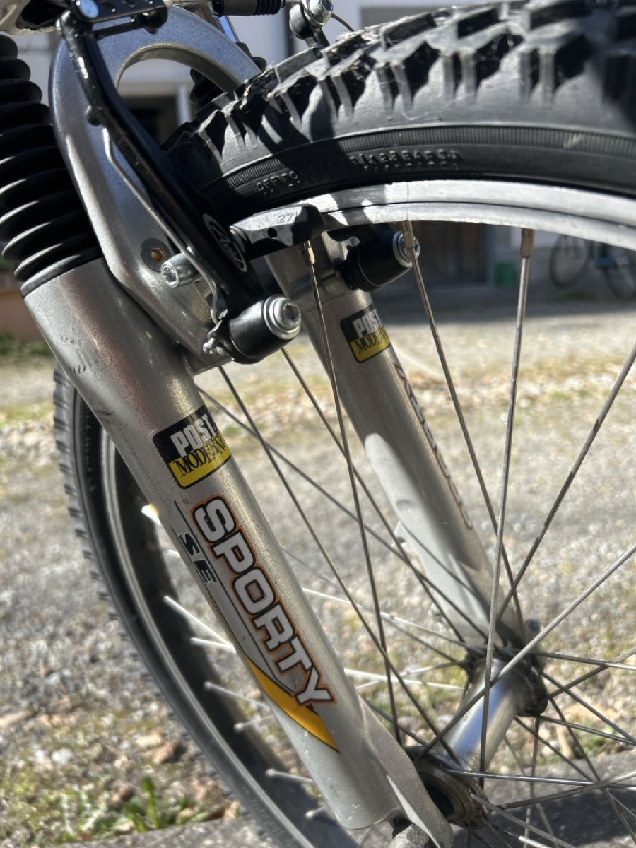 Aarios Biciclette: Kindervelo Aarios – Usato da Zürich venduto da pak73 4