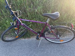 Heidemann Trinidad Trekkingrad 28” | 21 Gang | Fahrbereit