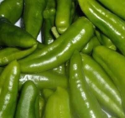 Pflanzen & Samen: 50 SAMEN Paprika FRIGITELLO Piment doux vert – Neu und originalverpackt aus Rovio von POSITIFFARTandPLANTS