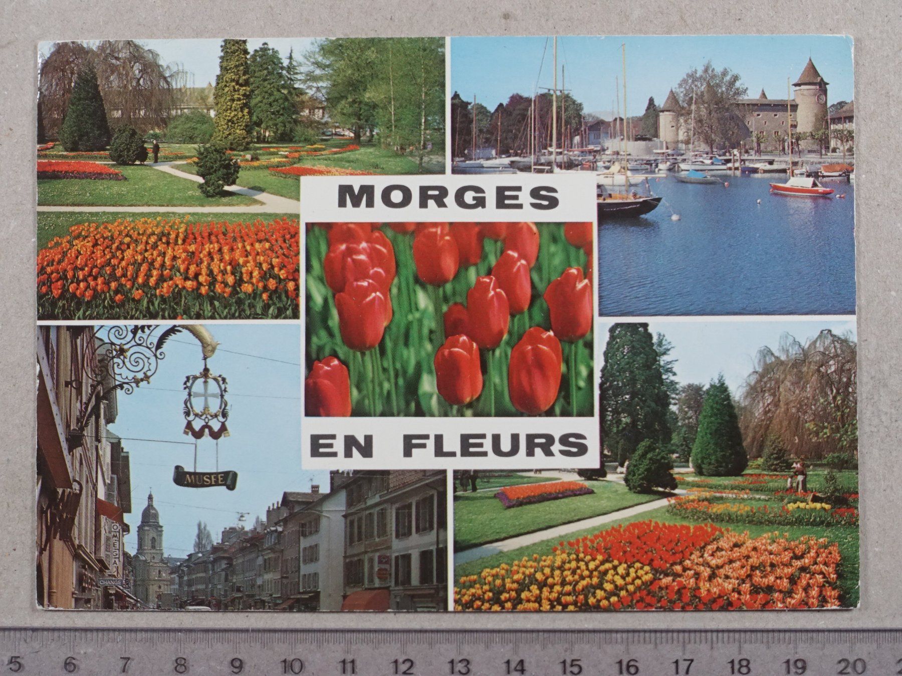 Cartoline postali: Morges, 1981, Morges en fleurs – Usato da Lenzburg venduto da fh1