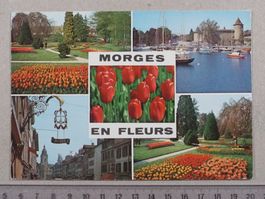 Morges, 1981, Morges en fleurs