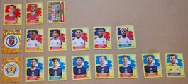 PANINI WM 2026 GRUPPE C: BRA MAR HAI SCO, 17 sticker