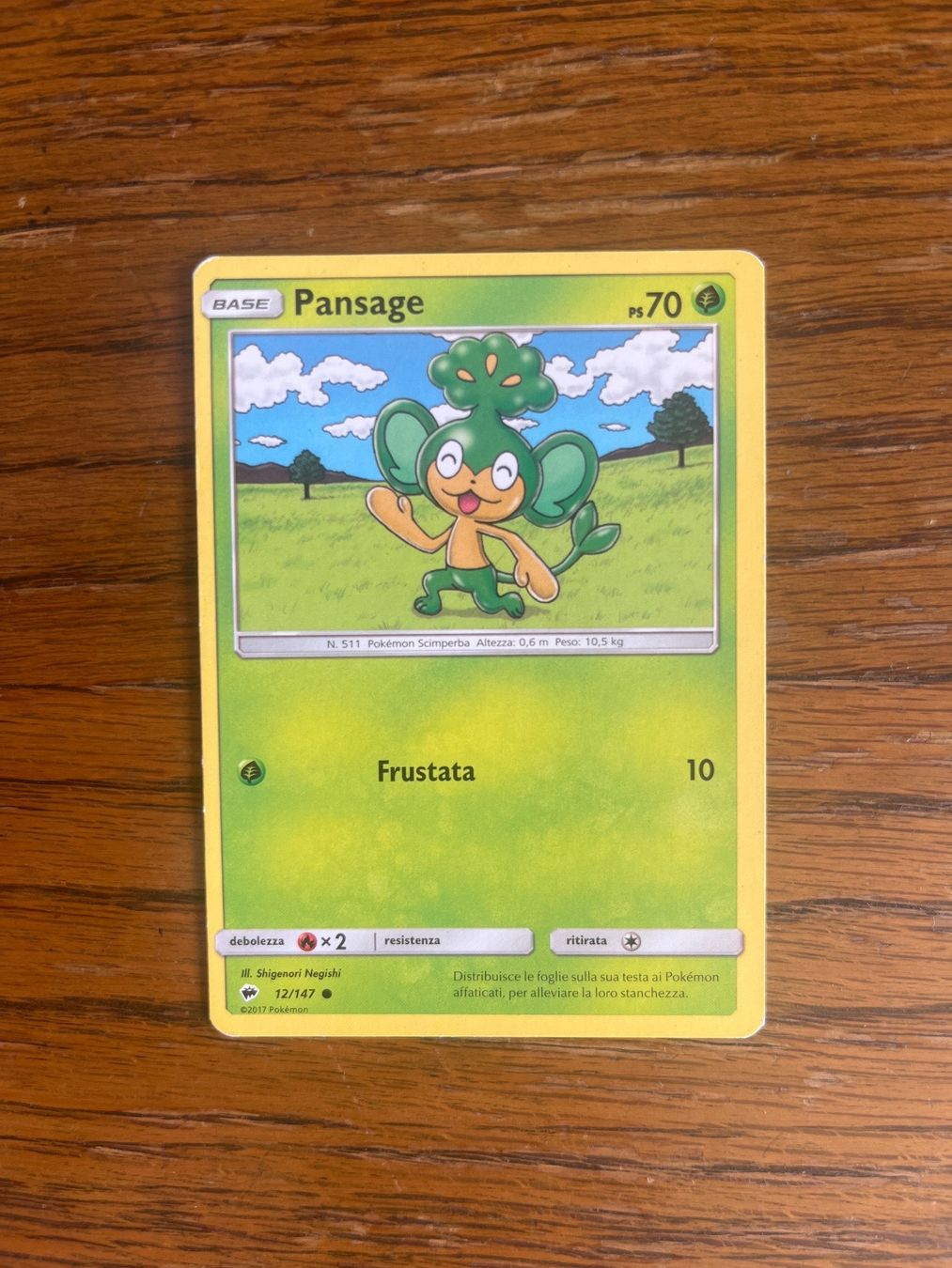 Pokémon Carte collezionabili: Carte Pokemon Pansage - Burning Shadows - IT – Usato da Vernayaz venduto da Darkfrost