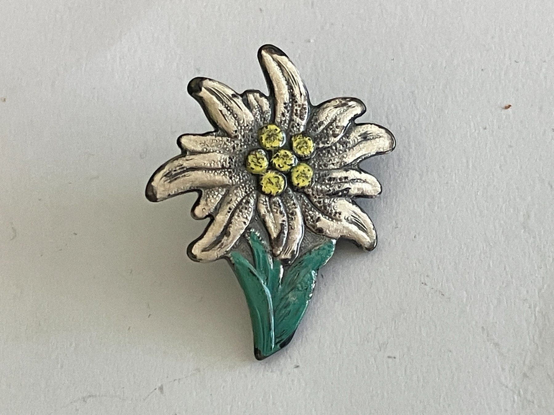 Plaketten & Abzeichen: 1 Pin Edelweiss – Gebraucht aus Basel von djwwpp