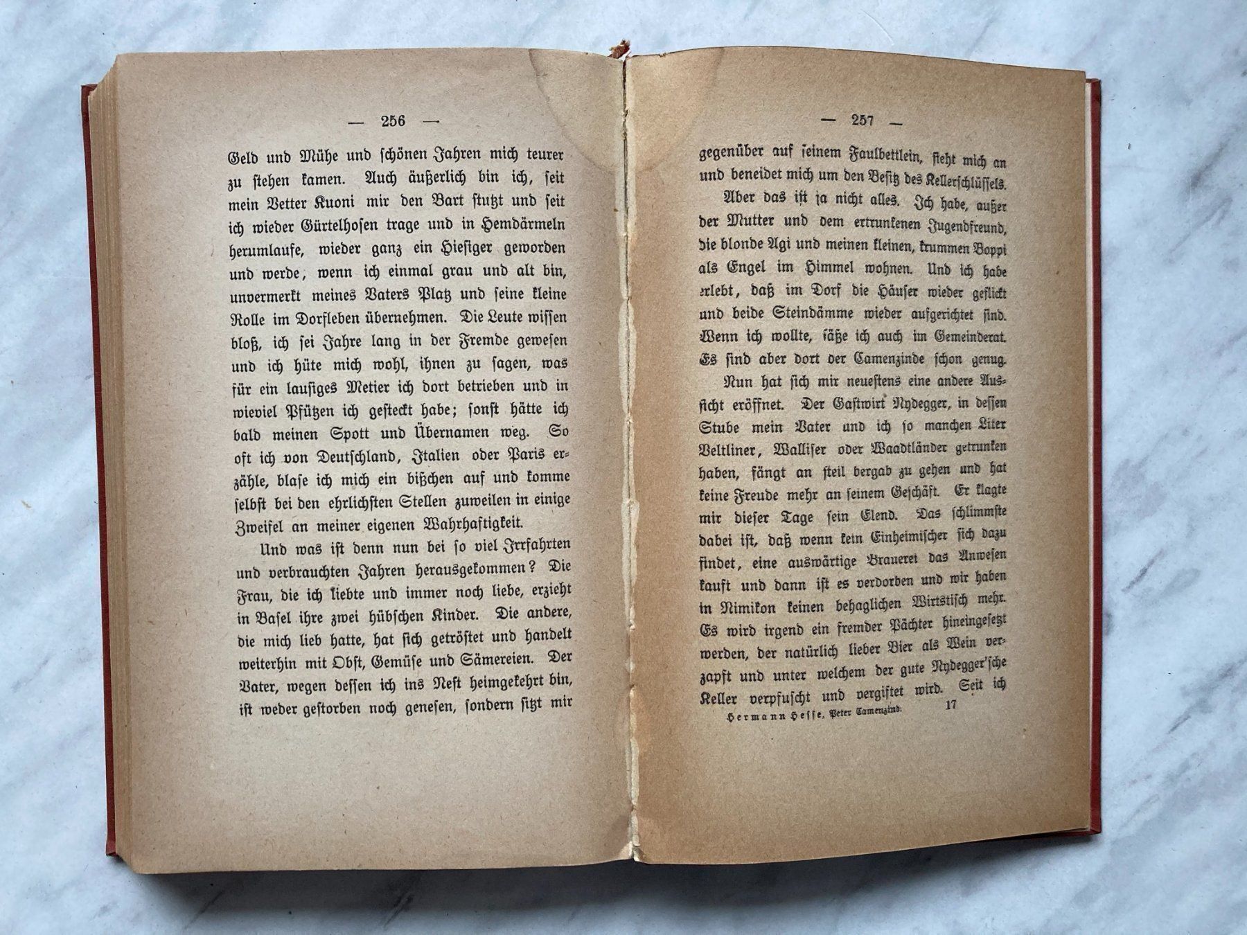 Libri: Peter Camenzind von Hermann Hesse – Usato da Mirchel venduto da buecher_wurm 8