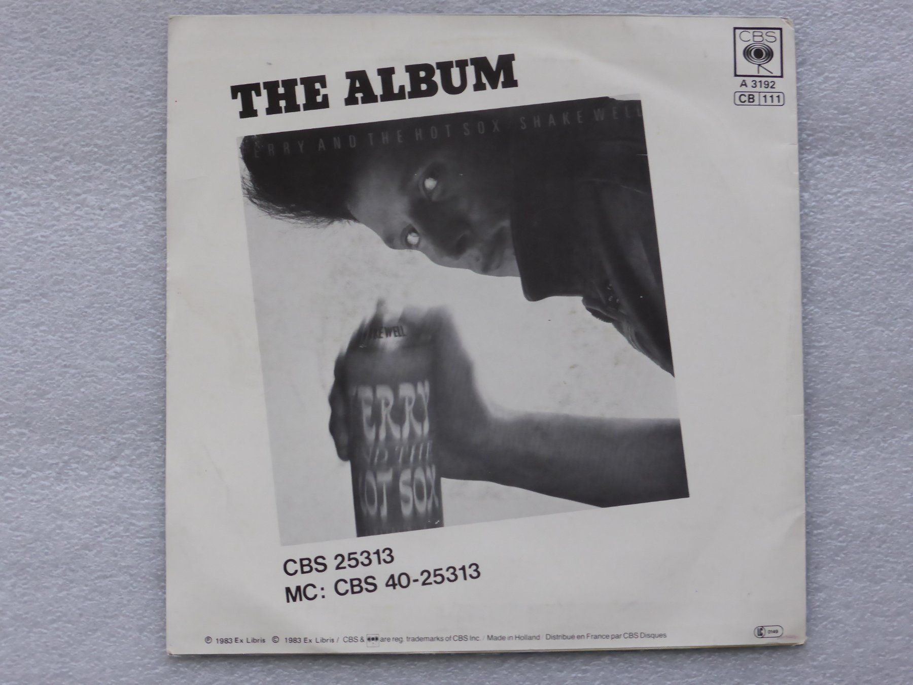Dischi in vinile: Vinyl Single  TERRY and THE HOT SOX – Usato da Küssnacht am Rigi venduto da Mondkinder 3