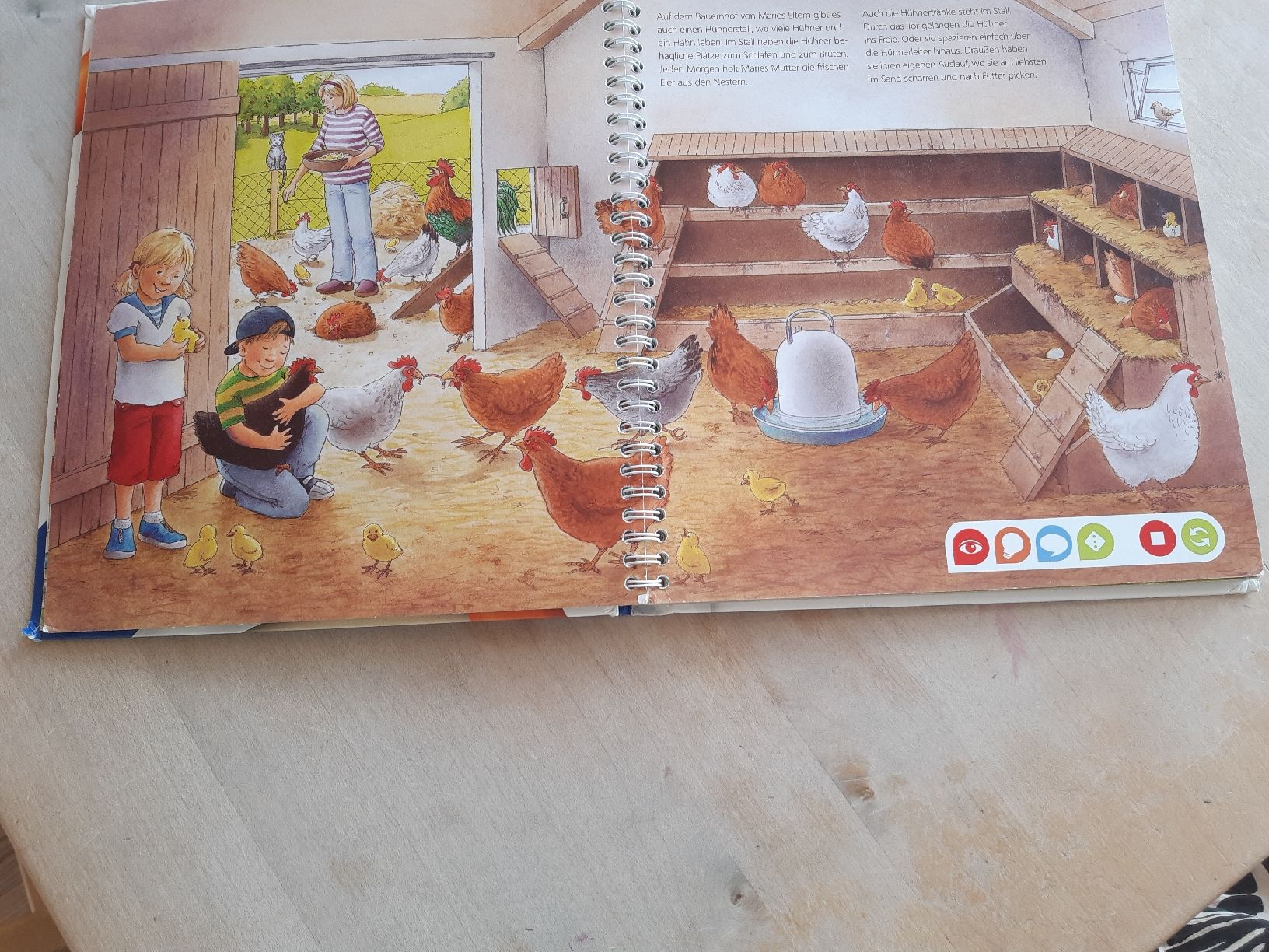 Bücher: Kinderbuch: Entdecke den Bauernhof – Gebraucht aus Spiegel b. Bern von hopplas 3
