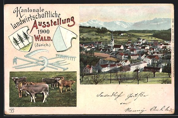 Cartoline postali: Wald, Kantonale Landwirtschaftliche Auss – Usato da Berlin venduto da bartko-reher