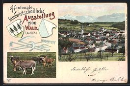 Wald, Kantonale Landwirtschaftliche Auss