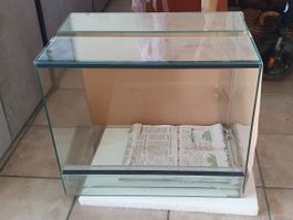 Glas Terrarium