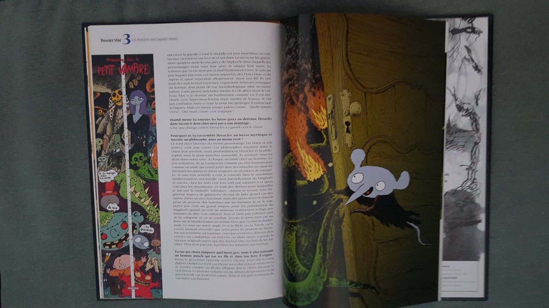 Libri: DBD - Joann Sfar - entretien avec Frédérique Pelletier – Usato da Fully venduto da Minouchka 2