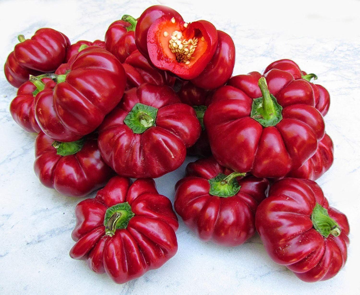 Piante & sementi: 50 Samen Gemüsepaprika TOPEPO ROSSO – Nuovo (secondo la descrizione) da Ehrendingen venduto da VerveinaSamen 3