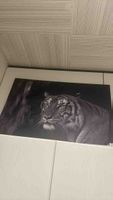 Wandbild Tiger schwarz weiss mit grünen Augen gebraucht