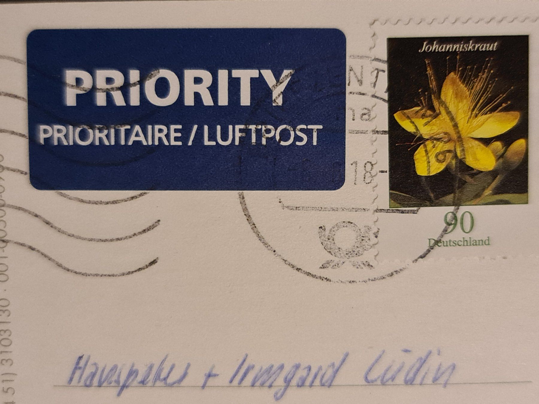 Cartoline postali: Ansichtskarte Grüsse von der See Seehunde – Usato da Dintikon venduto da Vexi 1