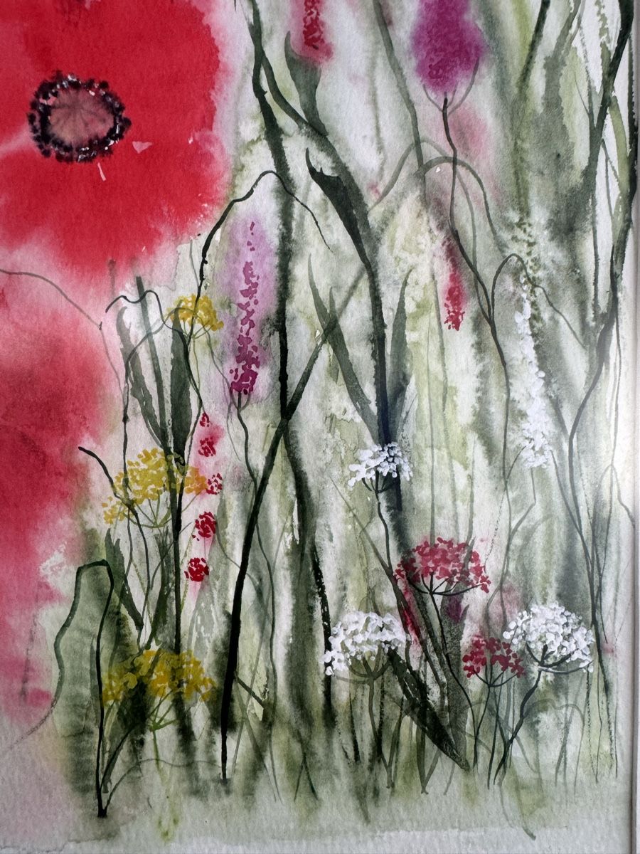 Dipinti: Aquarell ,,Mohnblumen,,Unikat – Usato da Lanzenhäusern venduto da Galaa 2