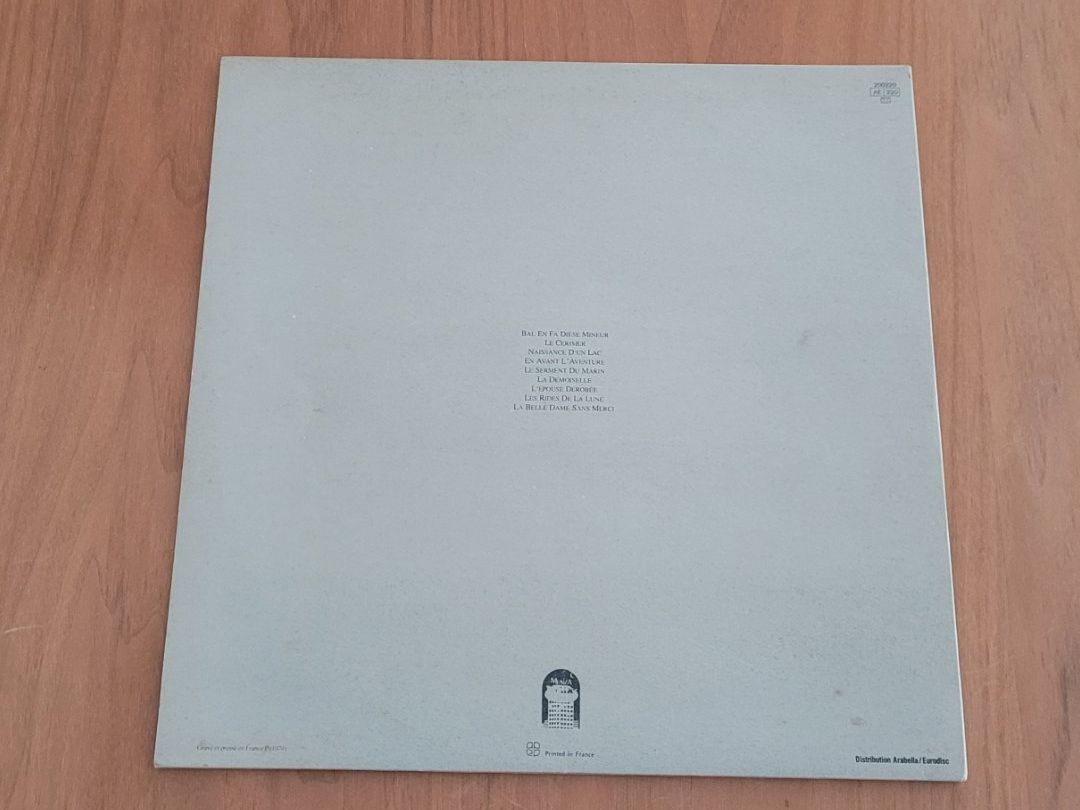 Dischi in vinile: LP Angelo Branduardi – Usato da Martigny venduto da MZ-67 2