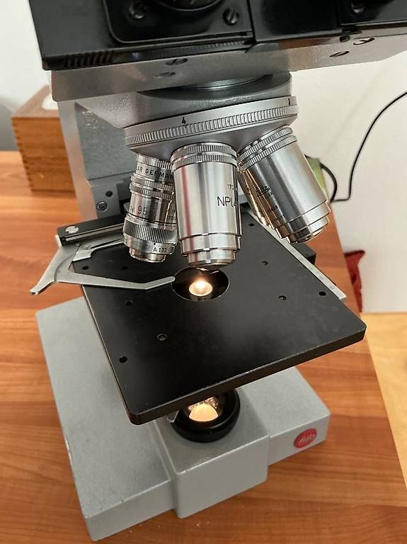 Microscopi: Mikroskop Leitz wetzlar – Usato da Basel venduto da lau5 4
