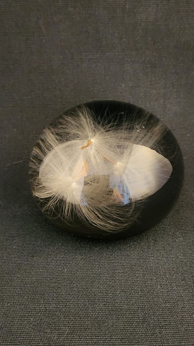 Statuette: Paperweight mit Pusteblumen – Usato da Basel venduto da spinne02 2