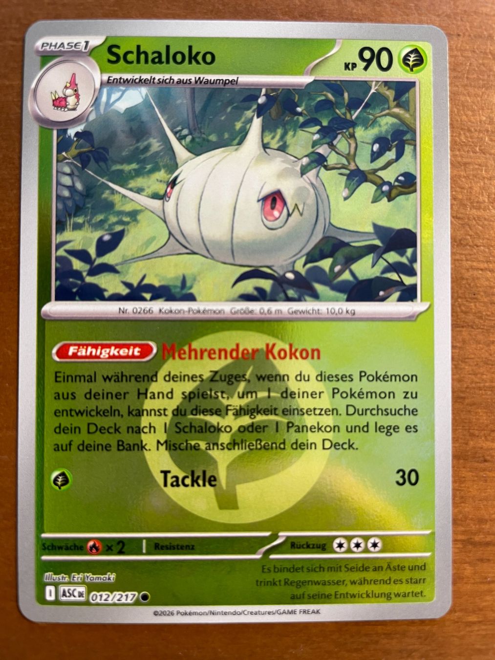 Pokémon Carte collezionabili: Pokemon Schaloko Reverse (Versand gratis) – Nuovo (secondo la descrizione) da Chur venduto da Angerson