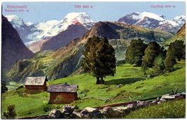 BRAUNWALD