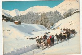 Davos Schlittenfahrt