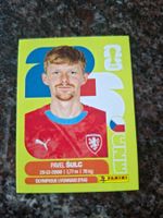 Panini WM 2026 Sticker Pavel Šulc CZE 14