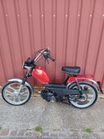 Pony Gtx 521 mit Papieren