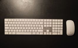 Apple Tastatur und Magic Mouse, gebraucht aber voll funktion