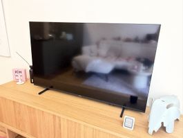 Philips 50 Zoll Smart TV  50PUS7000
