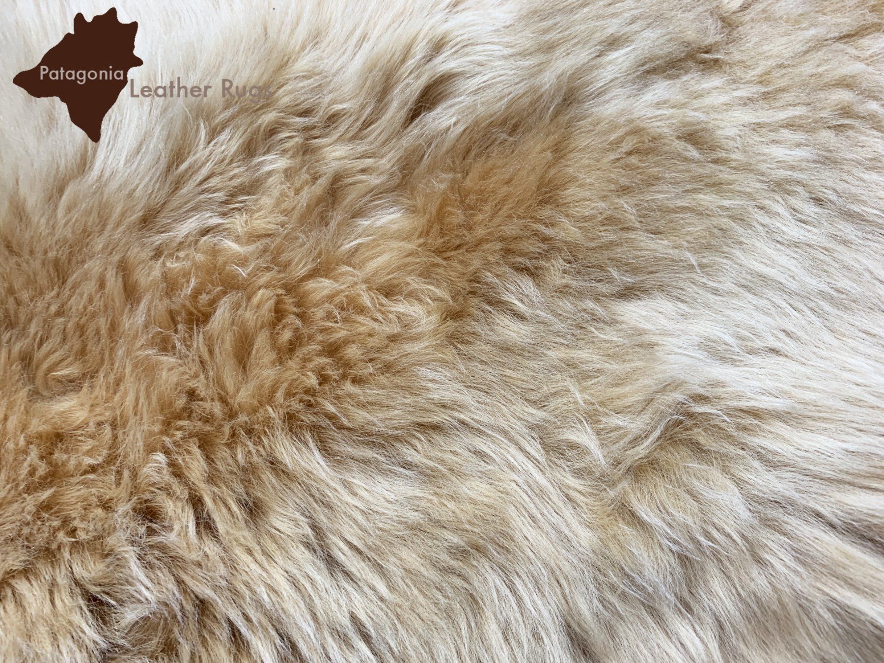Tappeti: Lammfell Teppich Beige – Nuovo e nell'imballaggio originale da Arbedo venduto da patagonialeatherrugs 2
