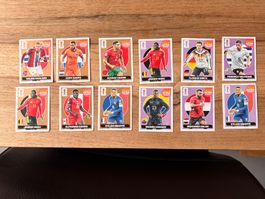 Panini Extra Sticker