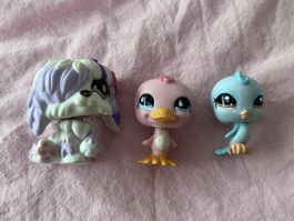 x3 Littlest Pet Shop (702 + 825 + 1984)