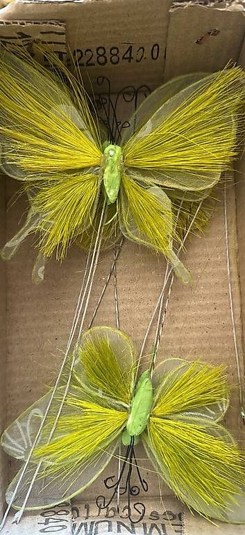 Tutte le decorazioni: Schmetterlinge zur Deko – Usato da Mauren venduto da SB1606