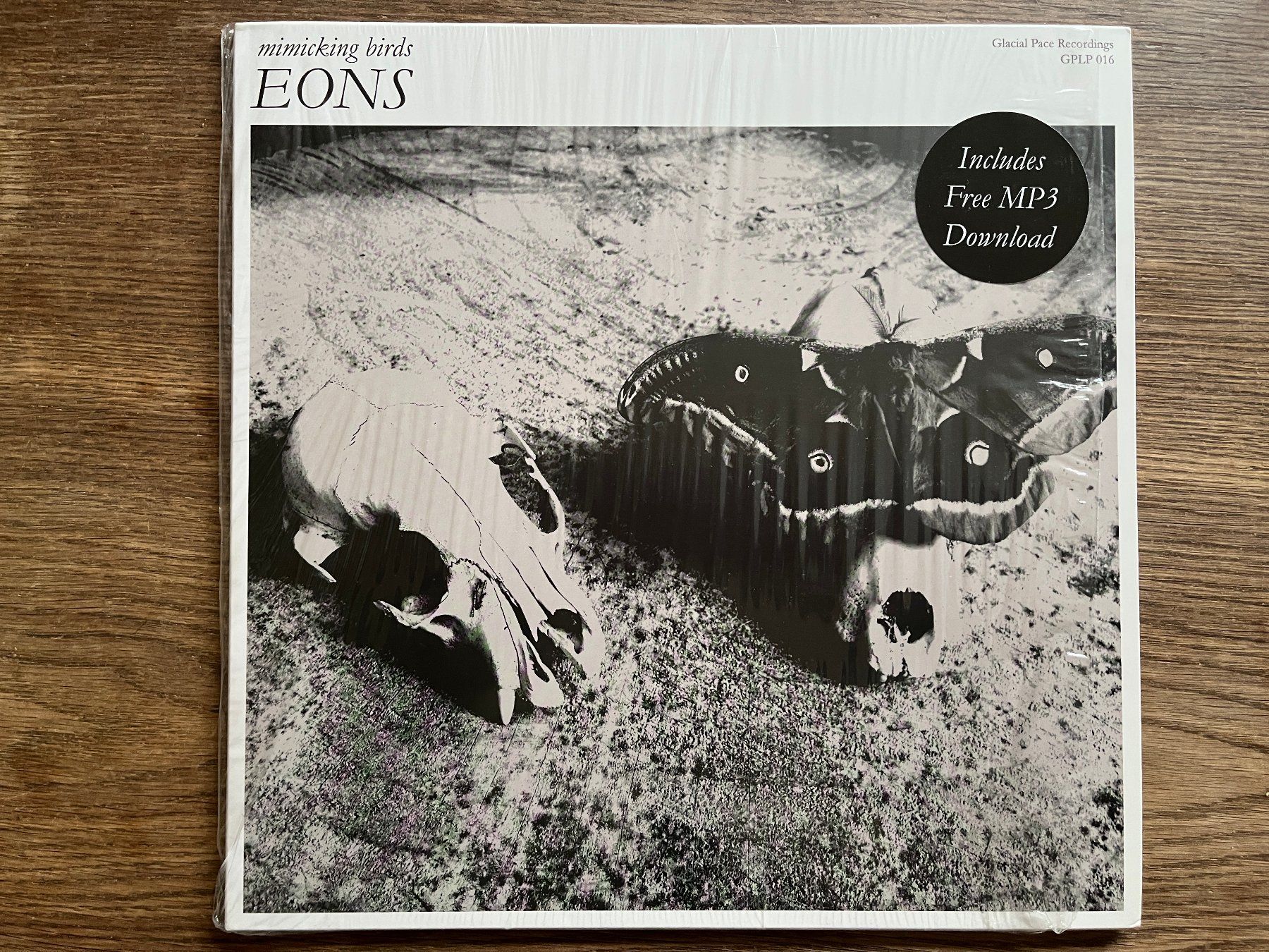 Dischi in vinile: Mimicking Birds - EONS Vinyl LP, Glacial Pace Recordings – Usato da Zürich venduto da Nieverge1
