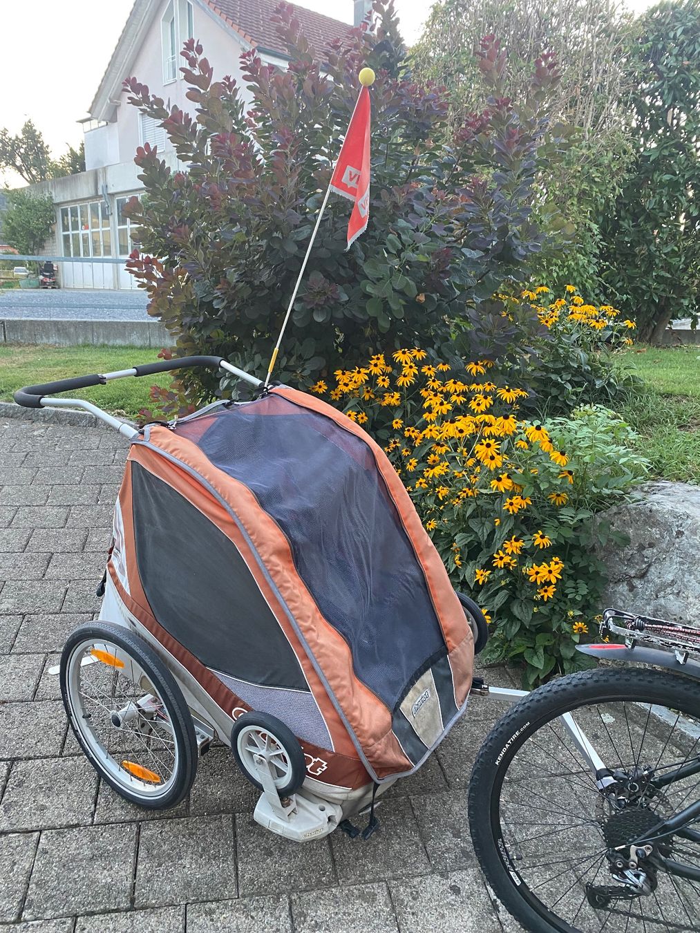 Anhänger: Veloanhänger – Gebraucht aus Oberriet SG von shanis 1