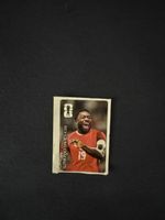 Davies CocaCola Panini