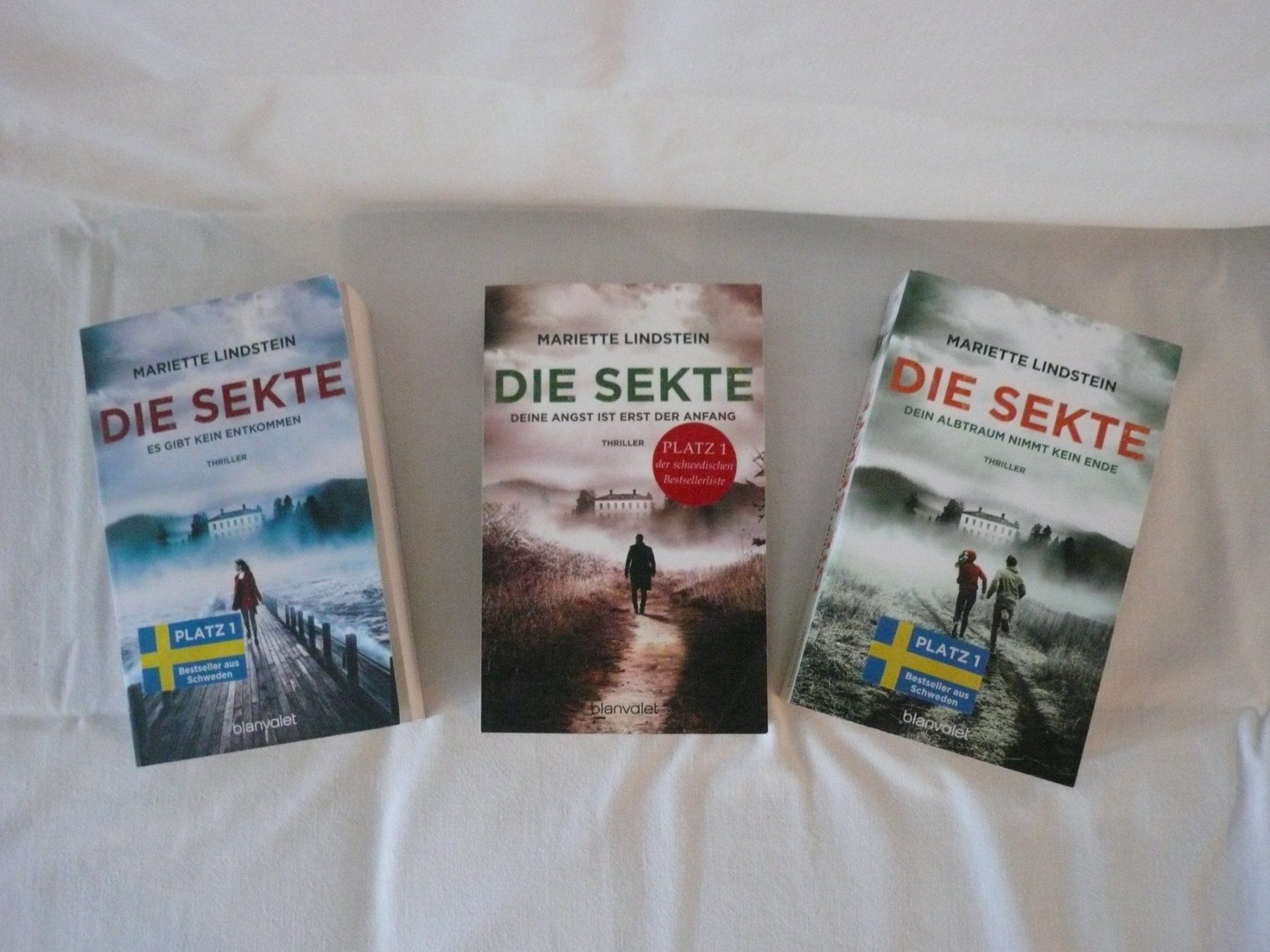Libri: Thriller von Mariette Lindstein – Nuovo (secondo la descrizione) da Rotkreuz venduto da Busa17 2